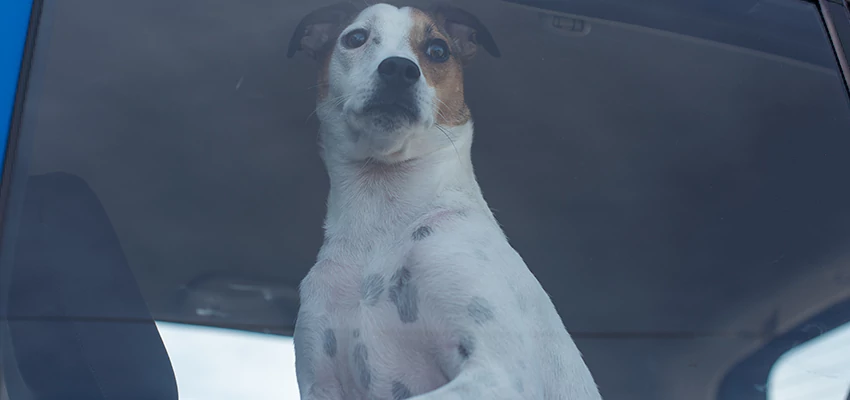 Car Lockout Solutions in Belmont, California